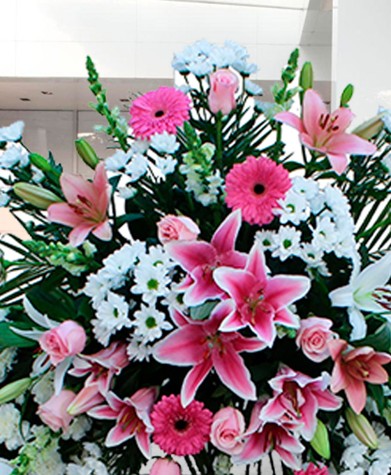 Flores rosadas para funerales de Santa Coloma