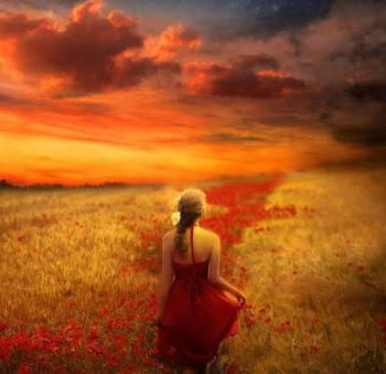 Plafón Funerario España, Arreglo Fúnebre Original, Flores para Tanatorio, Cojín Funerario, Arreglo Floral Fúnebre, Flores Tanatorio Santa Coloma de Gramanet 