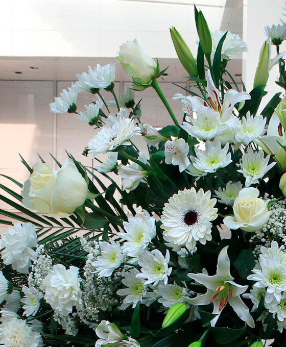 Rosas blancas, Corona de Flores expresar Condolencias