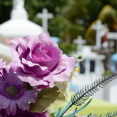 Enviar flores funerarias al tanatorio